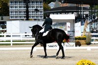 HSM_1767