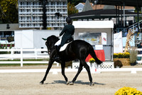 HSM_1768