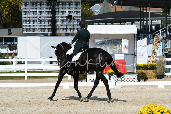 HSM_1768