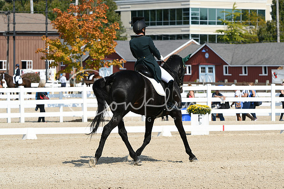 HSM_1793