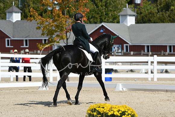 HSM_1796