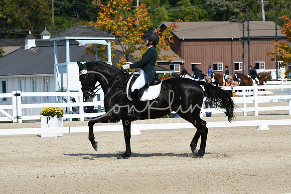 HSM_1797