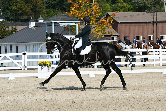 HSM_1798