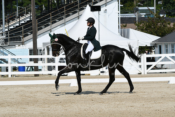 HSM_1803