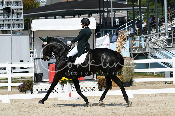 HSM_1801