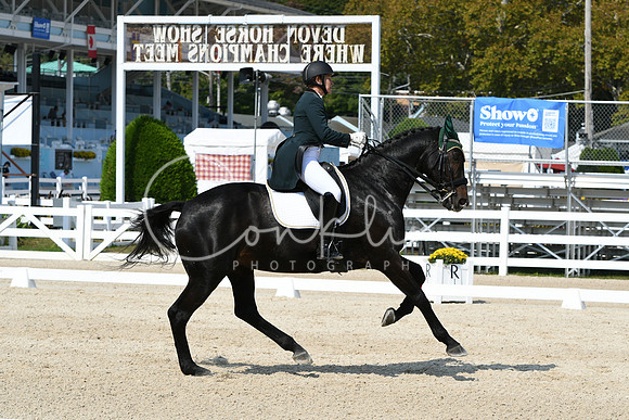 HSM_1809