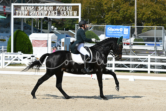 HSM_1810