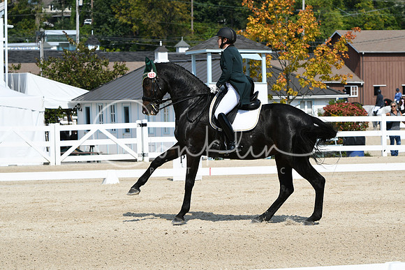 HSM_1813