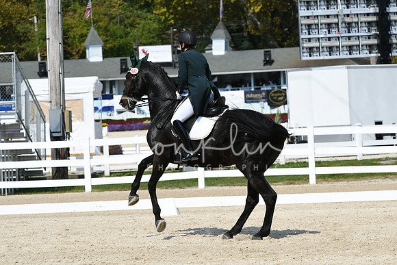 HSM_1817