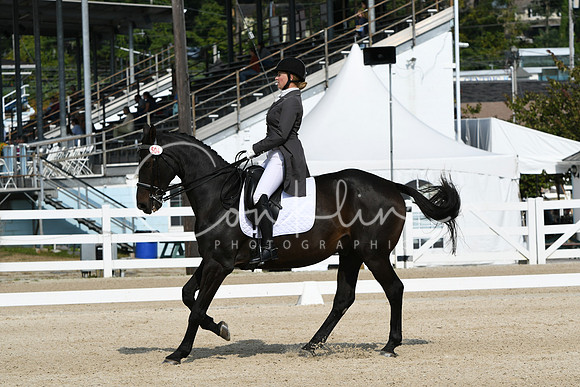HSM_1441