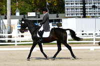 HSM_1445