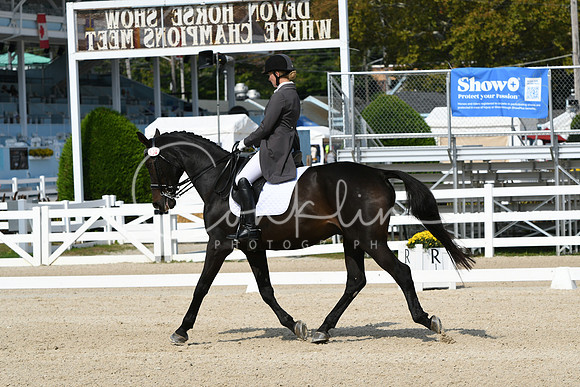 HSM_1446