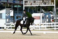HSM_1447