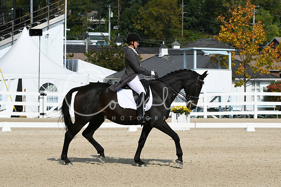 HSM_1451