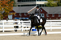 HSM_1453