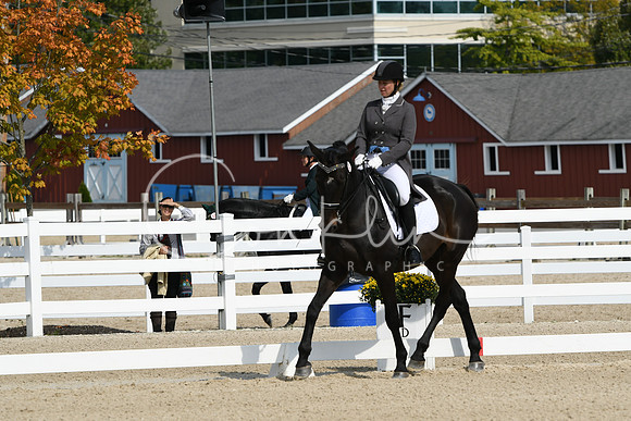 HSM_1453