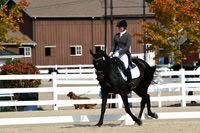HSM_1456