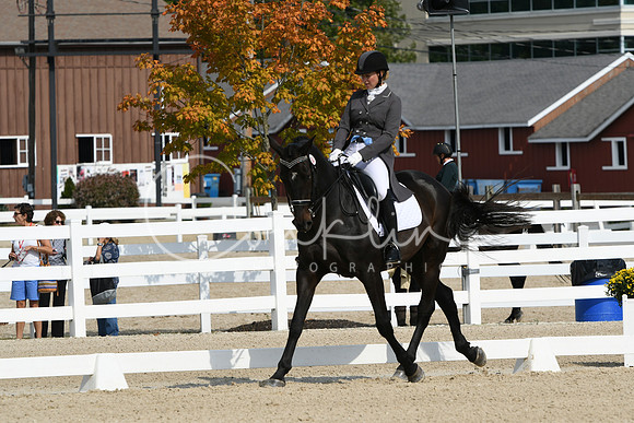 HSM_1454