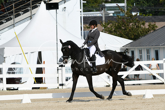 HSM_1460