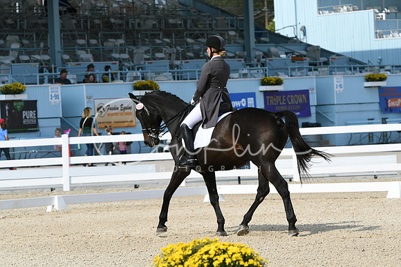 HSM_1473