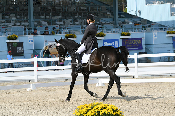 HSM_1474