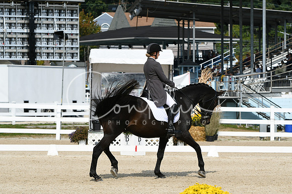 HSM_1475