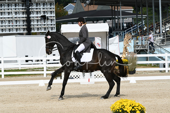 HSM_1482