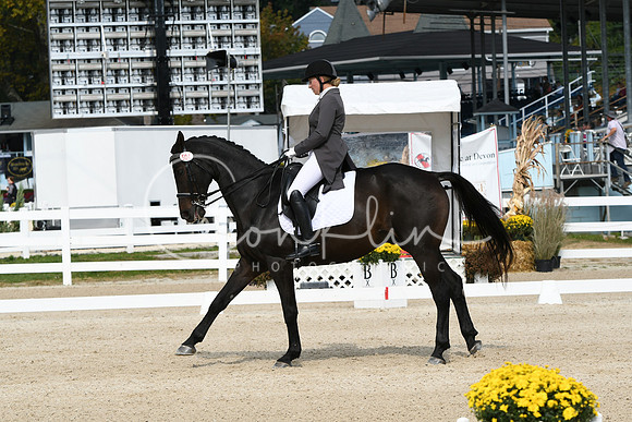 HSM_1483