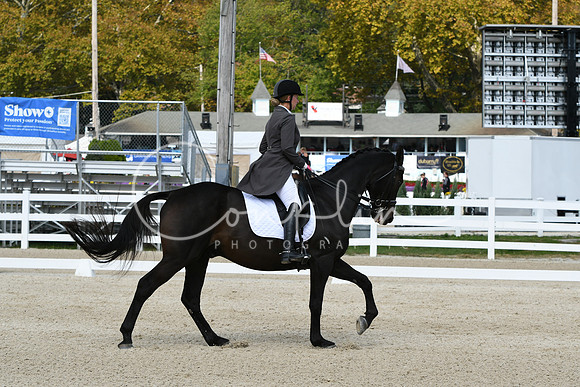 HSM_1493