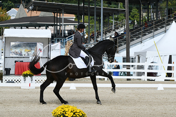 HSM_1494