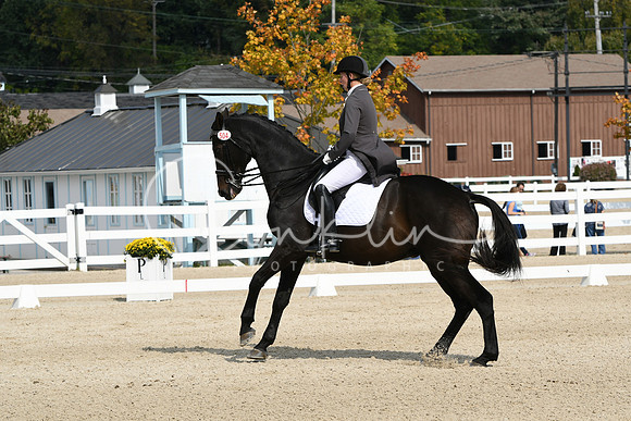 HSM_1497