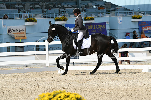 HSM_1499