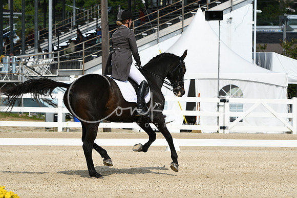 HSM_1501