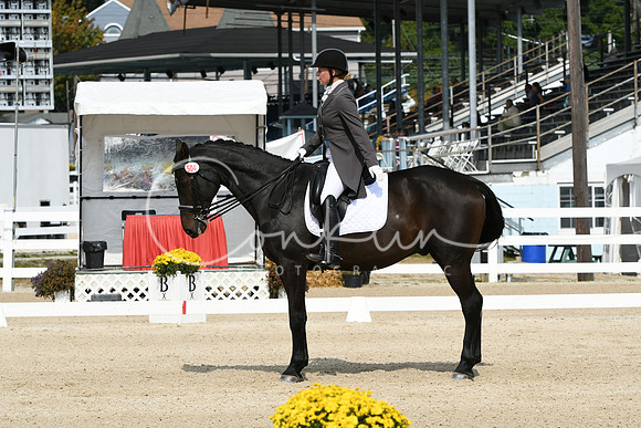HSM_1504