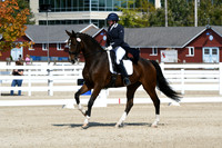 HSM_2043