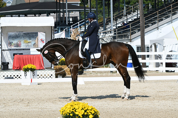 HSM_2045