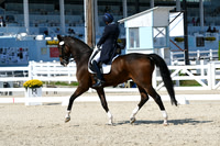 HSM_2049