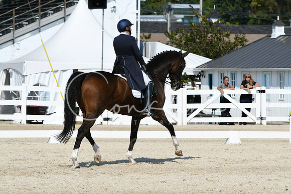 HSM_2075