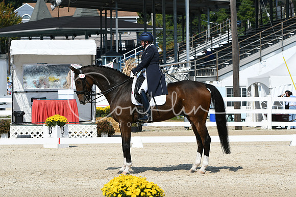 HSM_2117