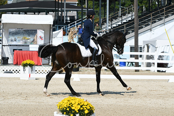 HSM_2017
