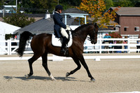 HSM_1290
