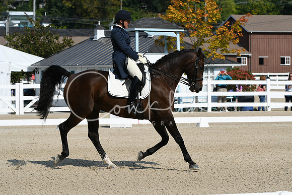 HSM_1290