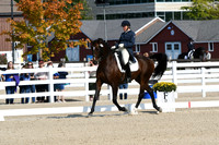 HSM_1291