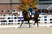HSM_1293