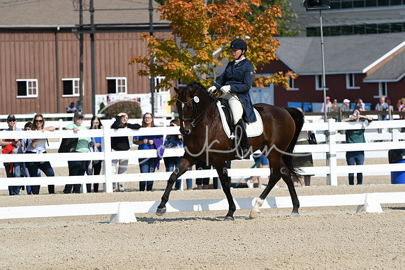 HSM_1293