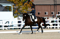 HSM_1295