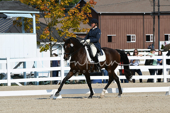 HSM_1295