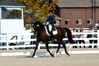 HSM_1296