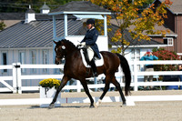 HSM_1297
