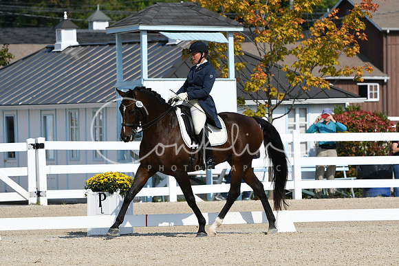 HSM_1297
